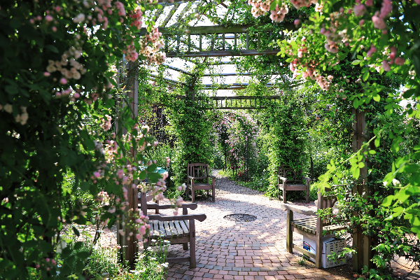 二木丨祥源星球花園