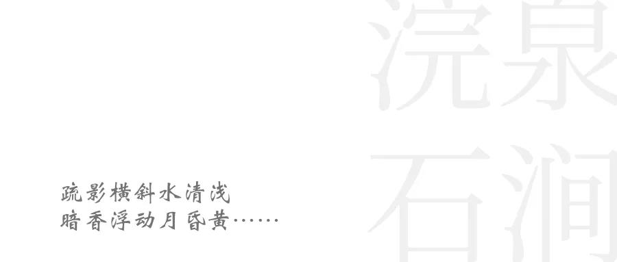 凱斯設計丨中鼎?公園首府