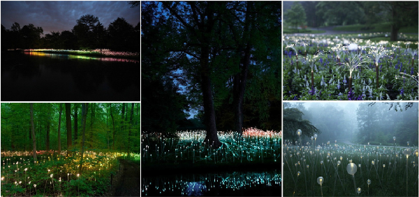 可齋景觀丨寧波·鄞州公園一期八景提升