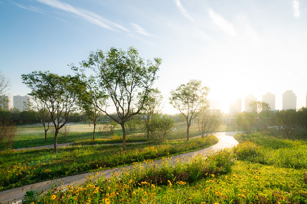 AECOM丨融創(chuàng)星耀五洲9號(hào)島景觀提升