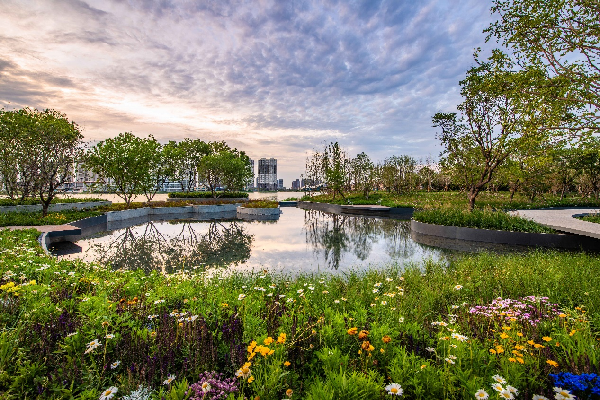 AECOM丨融創(chuàng)星耀五洲9號(hào)島景觀提升