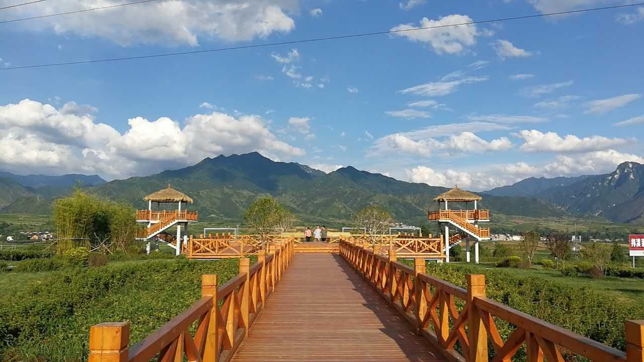 黎妮:為西部美麗鄉(xiāng)村注入新活力