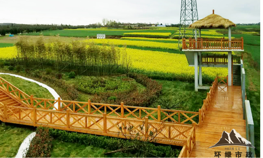 黎妮:為西部美麗鄉(xiāng)村注入新活力