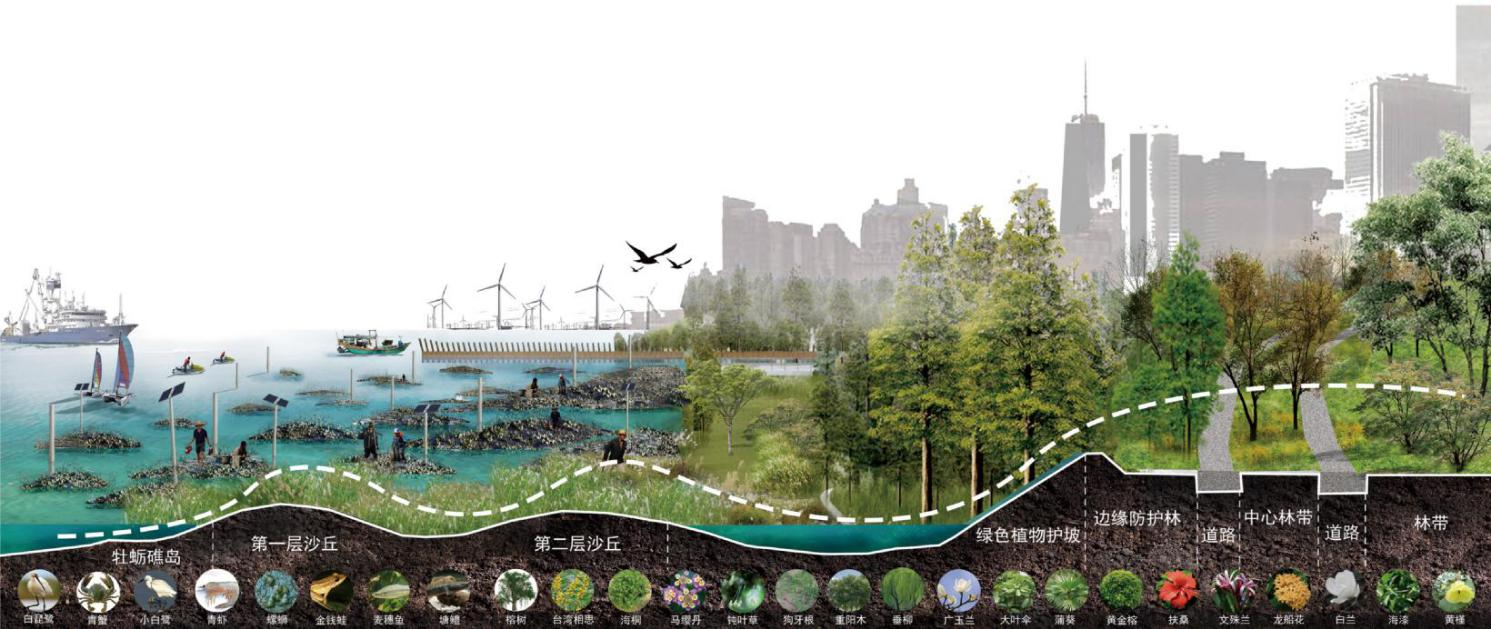 第十二屆園冶杯一等獎作品《海晏岸清》解讀