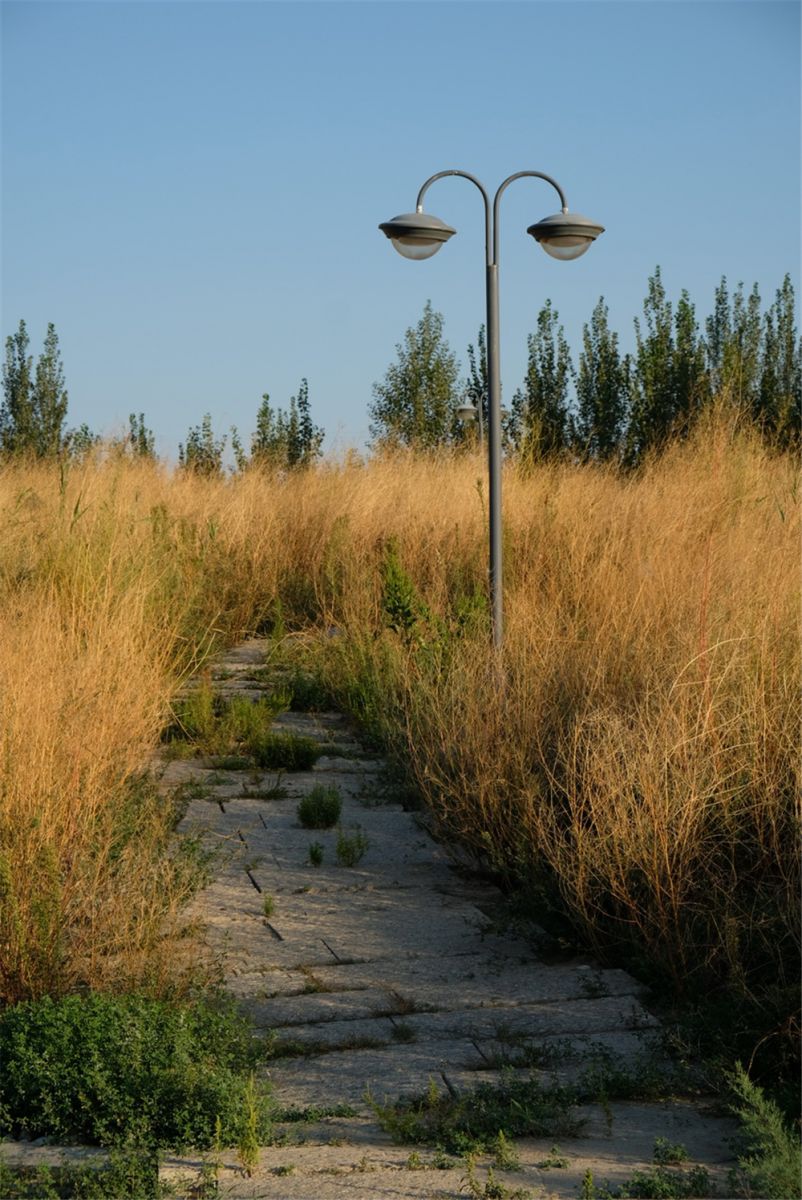 章俊華作品丨差異中的表述——博樂金三角工業區帶狀公園(一期)