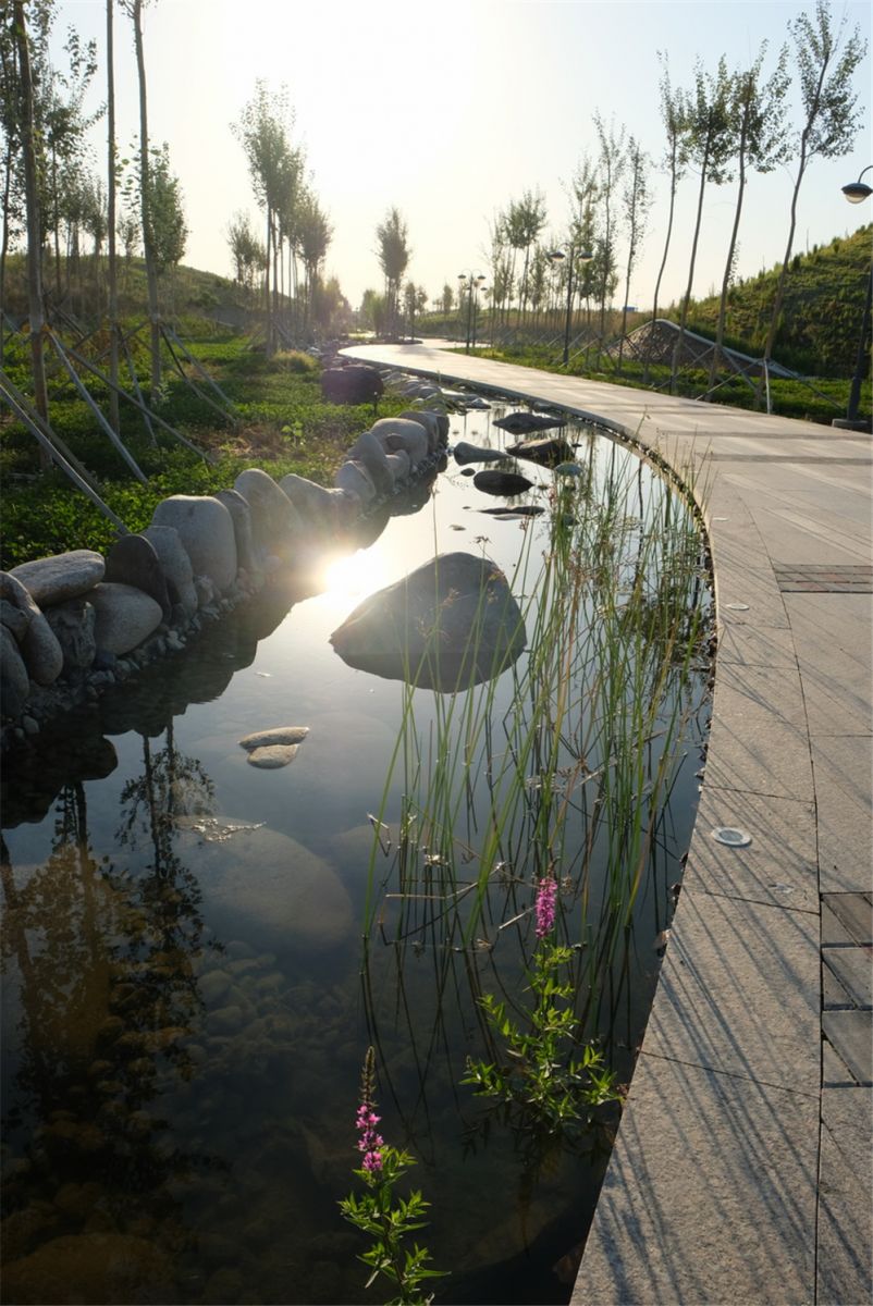 章俊華作品丨差異中的表述——博樂金三角工業區帶狀公園(一期)