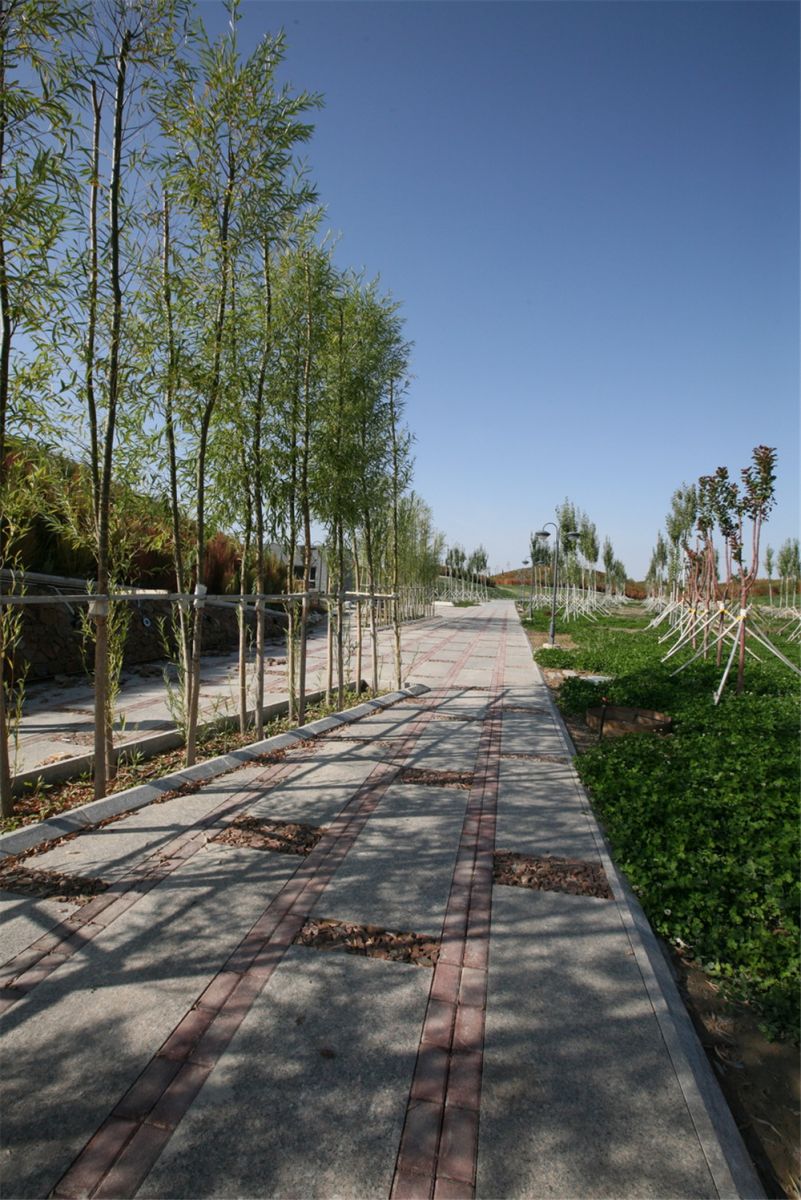 章俊華作品丨差異中的表述——博樂金三角工業區帶狀公園(一期)