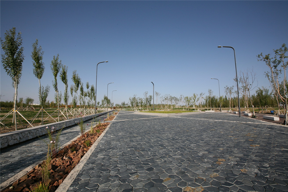 章俊華作品丨差異中的表述——博樂金三角工業區帶狀公園(一期)