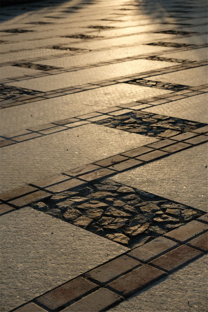 章俊華作品丨差異中的表述——博樂金三角工業區帶狀公園(一期)