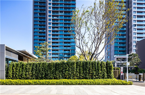 招商前海領(lǐng)璽項(xiàng)目景觀(guān)設(shè)計(jì)