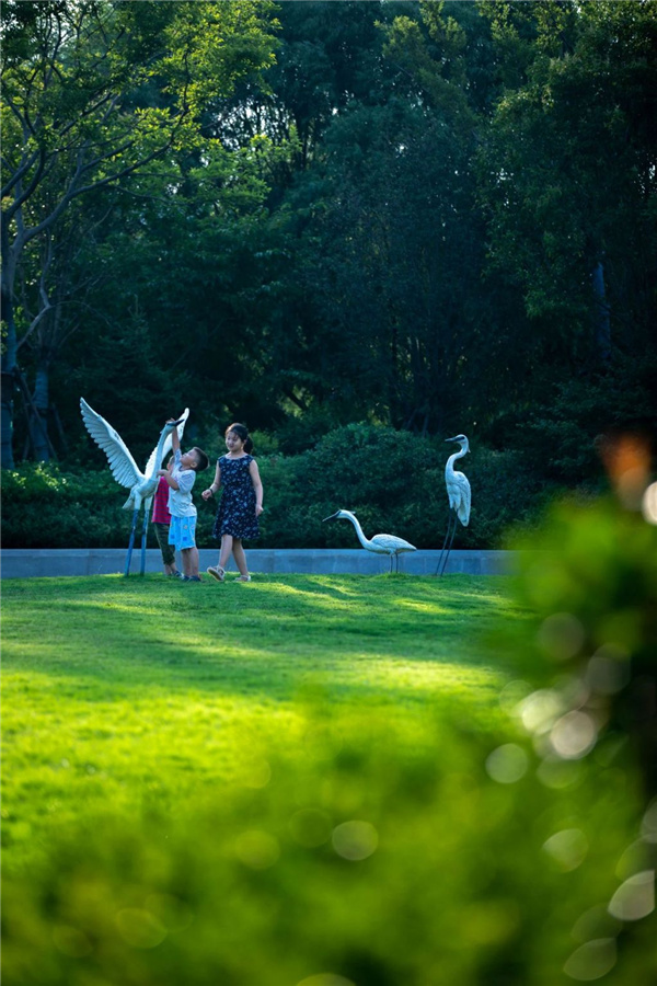 山東臨沂白鷺金岸中央公園