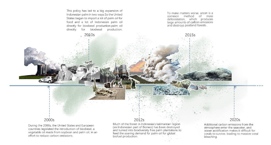 第十二屆園冶杯一等獎作品《White Crisis——印尼西海岸珊瑚保護計劃》解讀