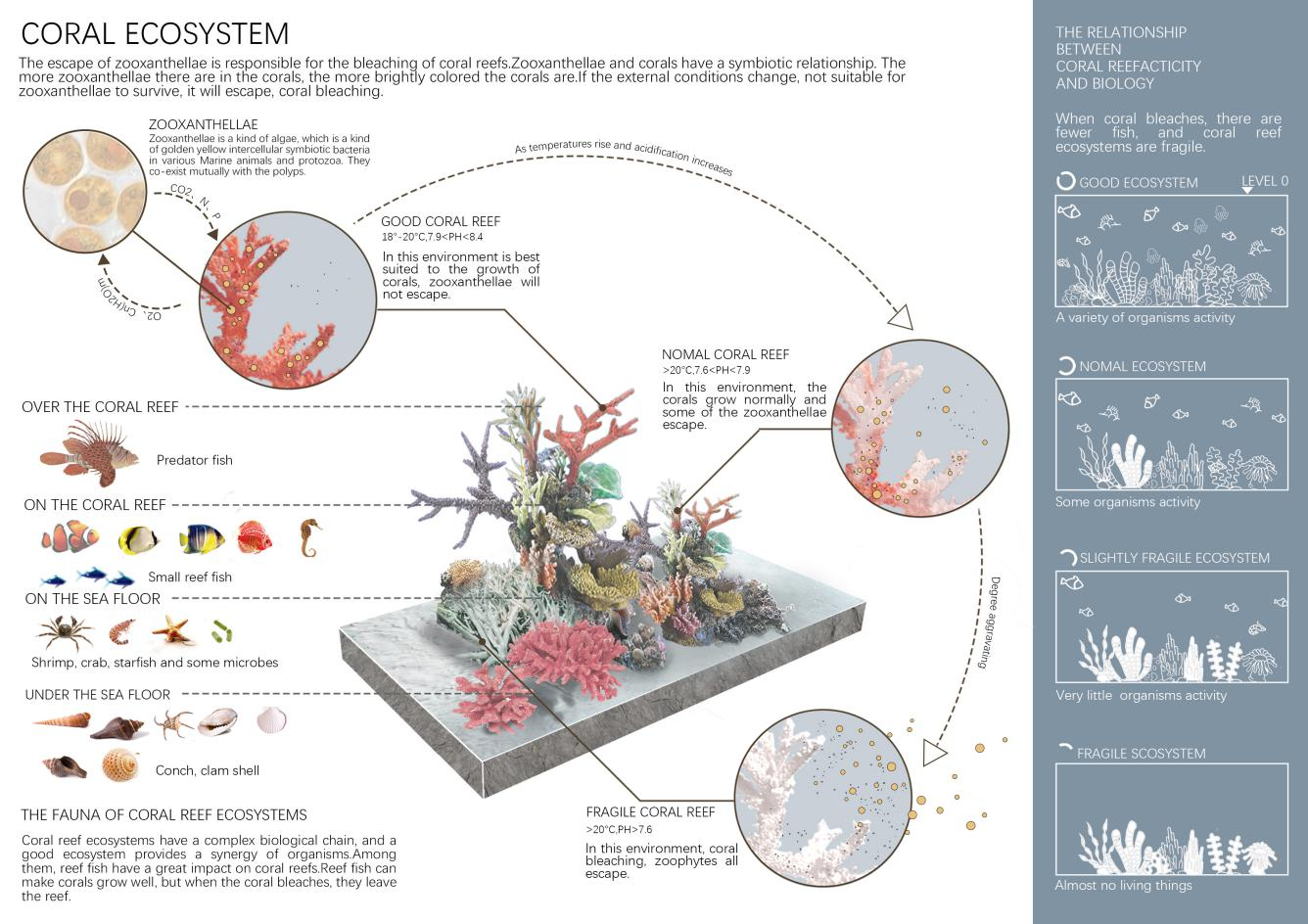 第十二屆園冶杯一等獎作品《White Crisis——印尼西海岸珊瑚保護計劃》解讀