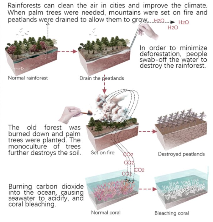 第十二屆園冶杯一等獎作品《White Crisis——印尼西海岸珊瑚保護計劃》解讀