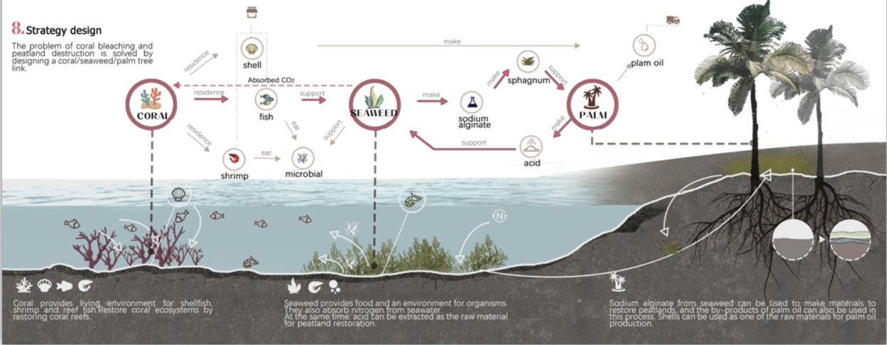 第十二屆園冶杯一等獎作品《White Crisis——印尼西海岸珊瑚保護計劃》解讀