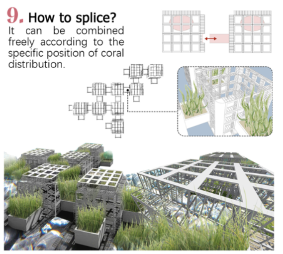 第十二屆園冶杯一等獎作品《White Crisis——印尼西海岸珊瑚保護計劃》解讀