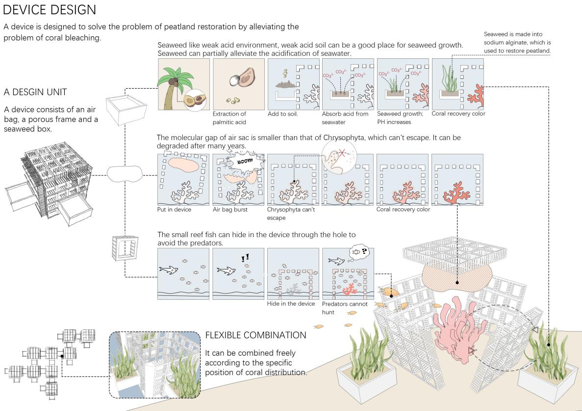 第十二屆園冶杯一等獎作品《White Crisis——印尼西海岸珊瑚保護計劃》解讀