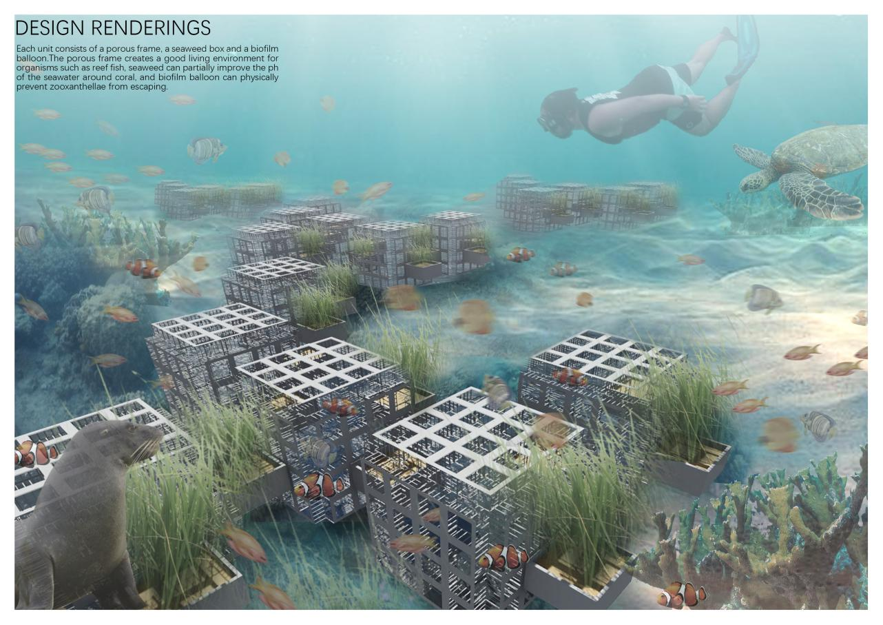 第十二屆園冶杯一等獎作品《White Crisis——印尼西海岸珊瑚保護計劃》解讀