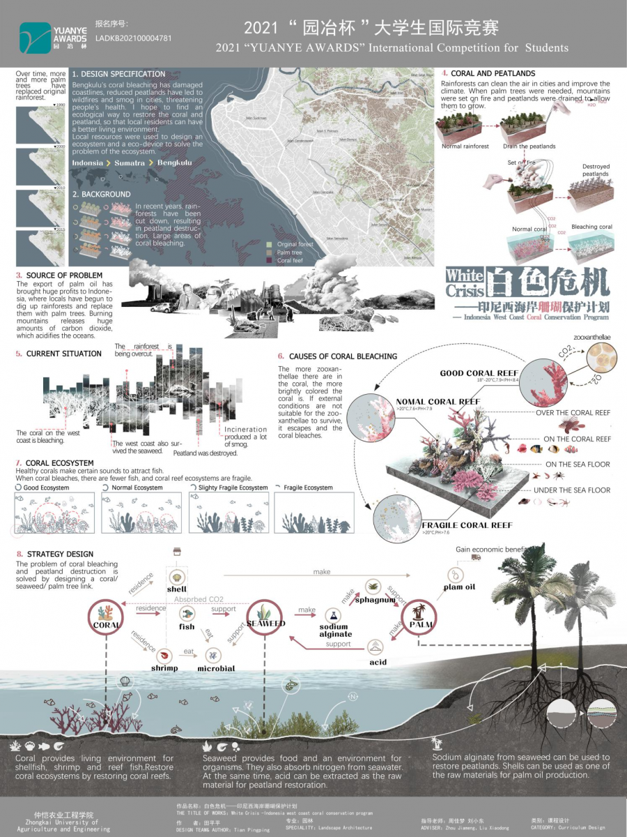 第十二屆園冶杯一等獎作品《White Crisis——印尼西海岸珊瑚保護計劃》解讀