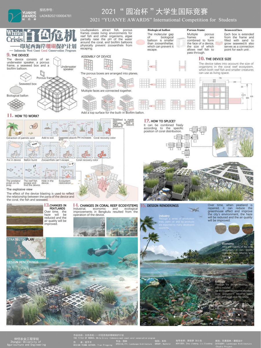 第十二屆園冶杯一等獎作品《White Crisis——印尼西海岸珊瑚保護計劃》解讀