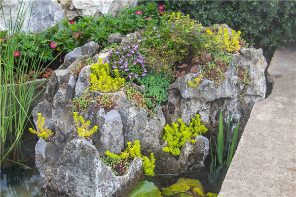 2021世界園藝博覽會—嘉興園