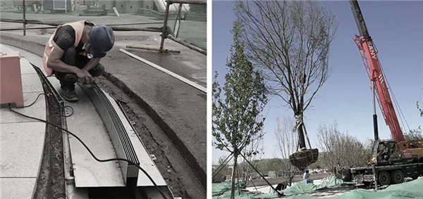 順景園林丨北京環球度假區景觀