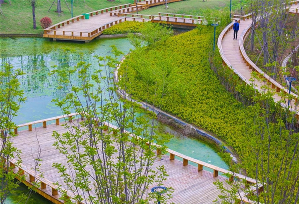 盤龍山景觀綠化提升工程設計施工總承包(EPC)