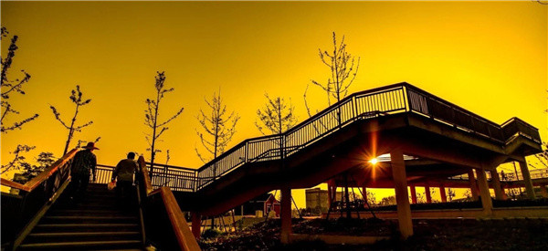 盤龍山景觀綠化提升工程設計施工總承包(EPC)