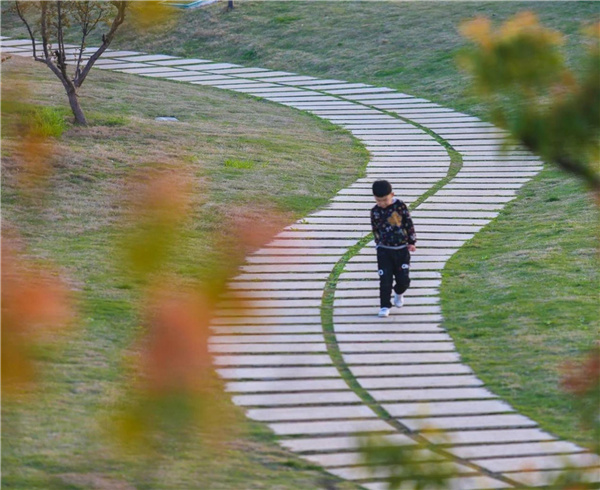 盤龍山景觀綠化提升工程設計施工總承包(EPC)