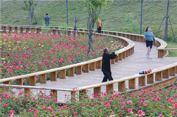 盤龍山景觀綠化提升工程設計施工總承包(EPC)