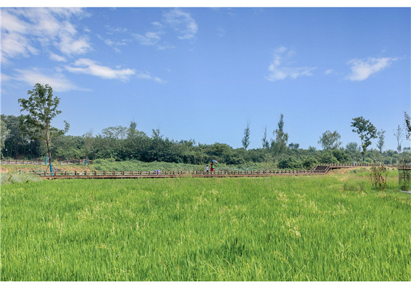 蜀山鄉村振興示范區元塘、大嶺南及小嶺南村民組人居環境綜合整治項目