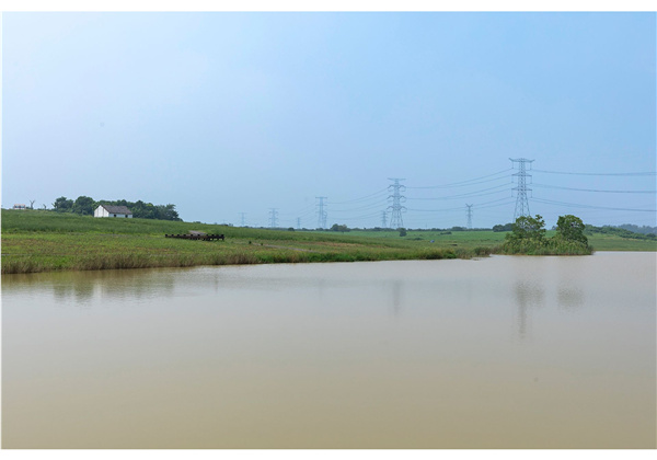 蜀山鄉村振興示范區元塘、大嶺南及小嶺南村民組人居環境綜合整治項目