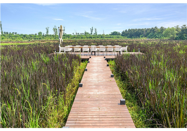 蜀山鄉村振興示范區元塘、大嶺南及小嶺南村民組人居環境綜合整治項目