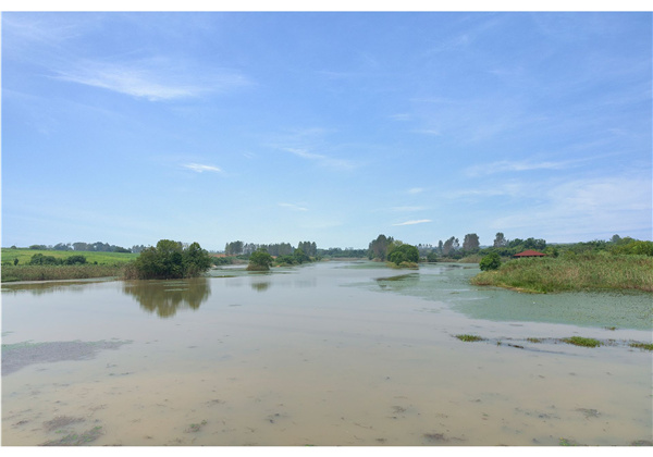 蜀山鄉村振興示范區元塘、大嶺南及小嶺南村民組人居環境綜合整治項目