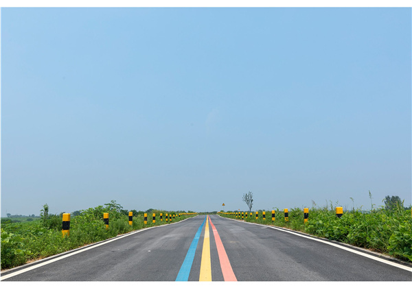 蜀山鄉村振興示范區元塘、大嶺南及小嶺南村民組人居環境綜合整治項目