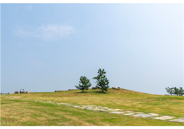 蜀山鄉村振興示范區元塘、大嶺南及小嶺南村民組人居環境綜合整治項目