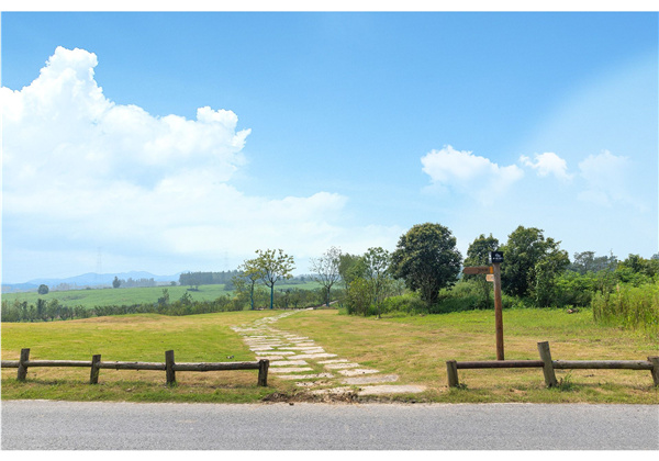 蜀山鄉村振興示范區元塘、大嶺南及小嶺南村民組人居環境綜合整治項目