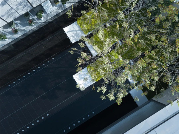 新城·太倉(cāng)心望雅苑