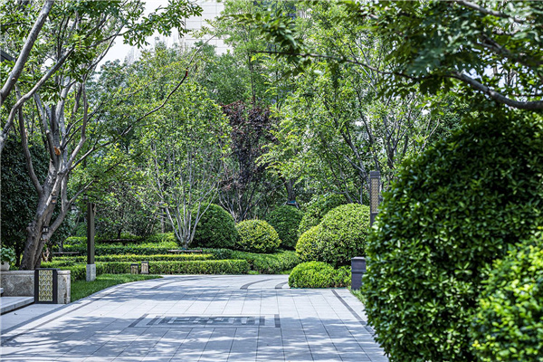 濟南奧體金茂府大區(qū)一期