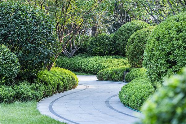 濟南奧體金茂府大區(qū)一期