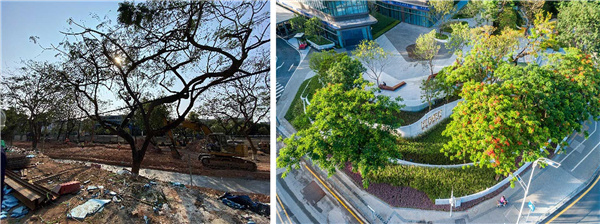 海谷科技大廈展示區景觀設計