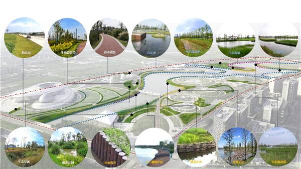 上海南匯新城星空之境海綿公園DBO項目