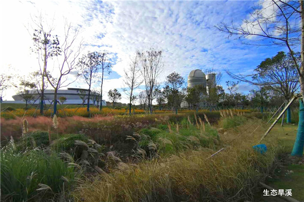 上海南匯新城星空之境海綿公園DBO項目