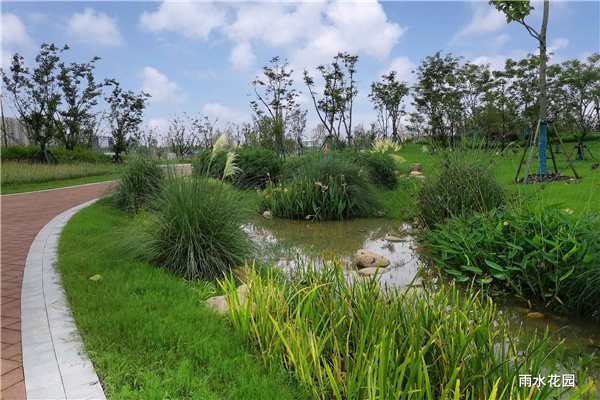 上海南匯新城星空之境海綿公園DBO項目