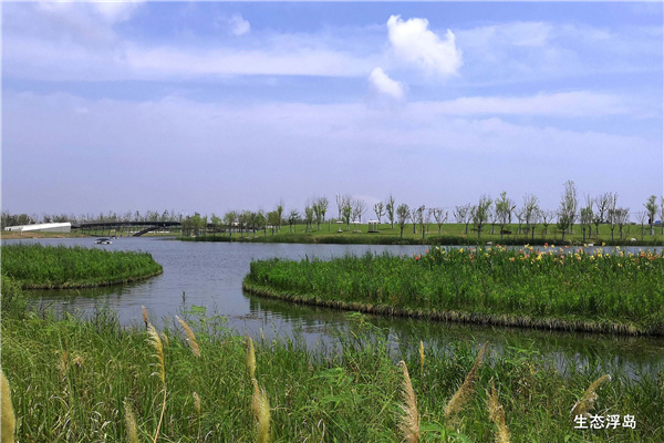 上海南匯新城星空之境海綿公園DBO項目