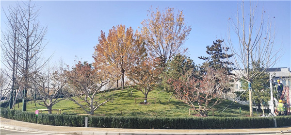 北京環(huán)球影城主題公園配套建設(shè)（一期）項(xiàng)目