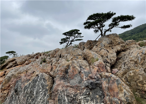 瀚世景觀丨南京園博園悅榕莊