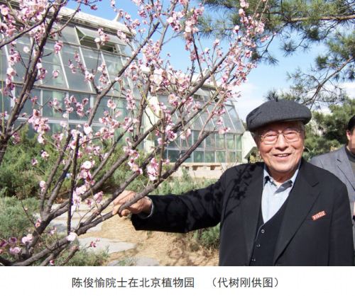 代樹剛:“南梅北移”讓京城百姓看得見梅花