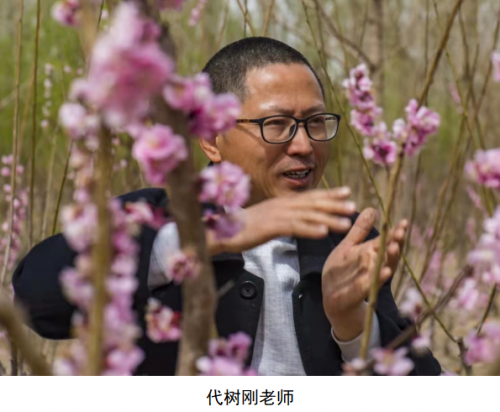 代樹剛:“南梅北移”讓京城百姓看得見梅花