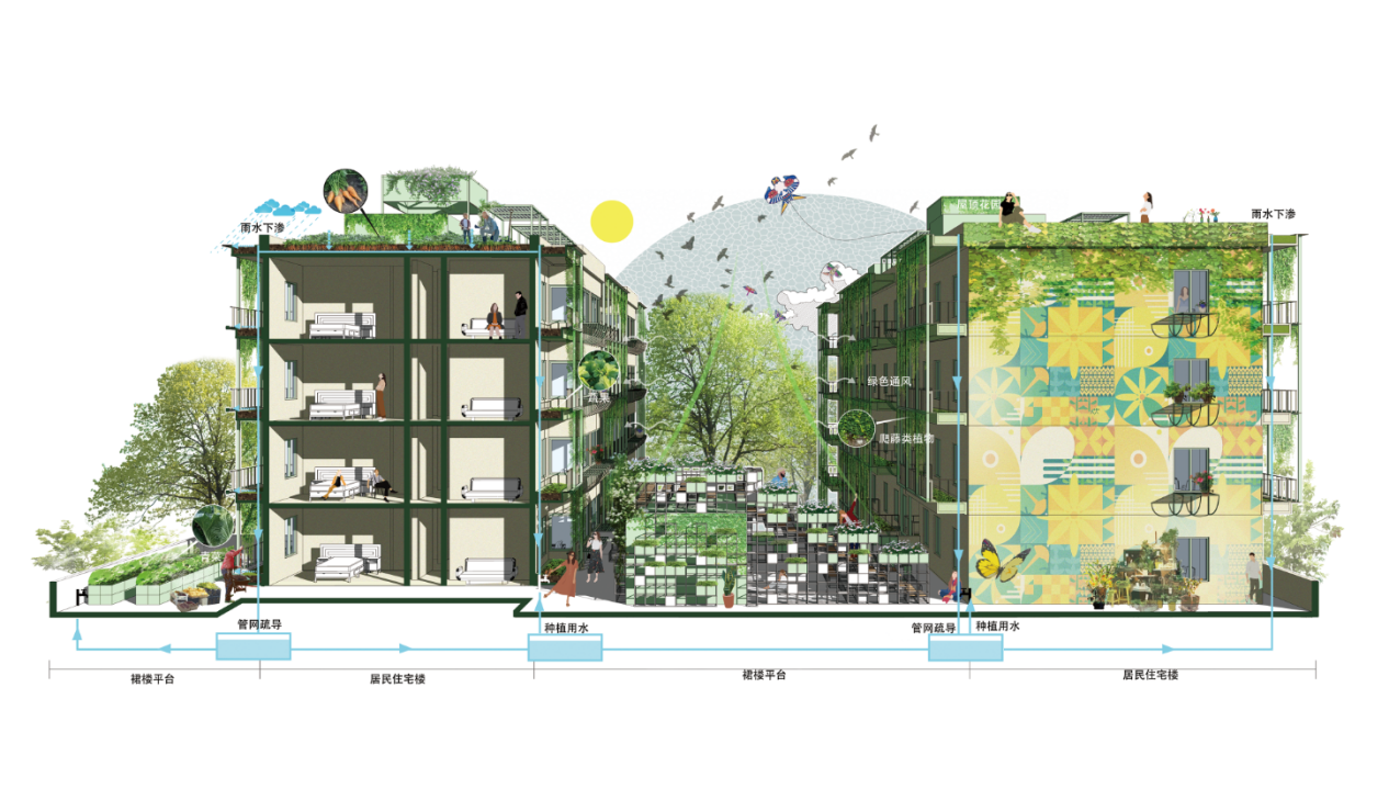 第十三屆園冶杯一等獎(jiǎng)作品|一蔬難求 疫鍵耕新